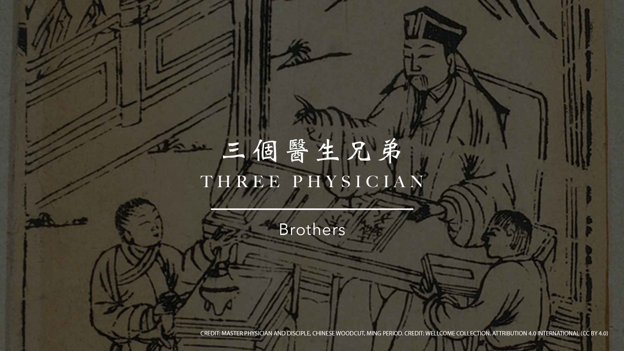 Three Physician Brothers: Bian Que