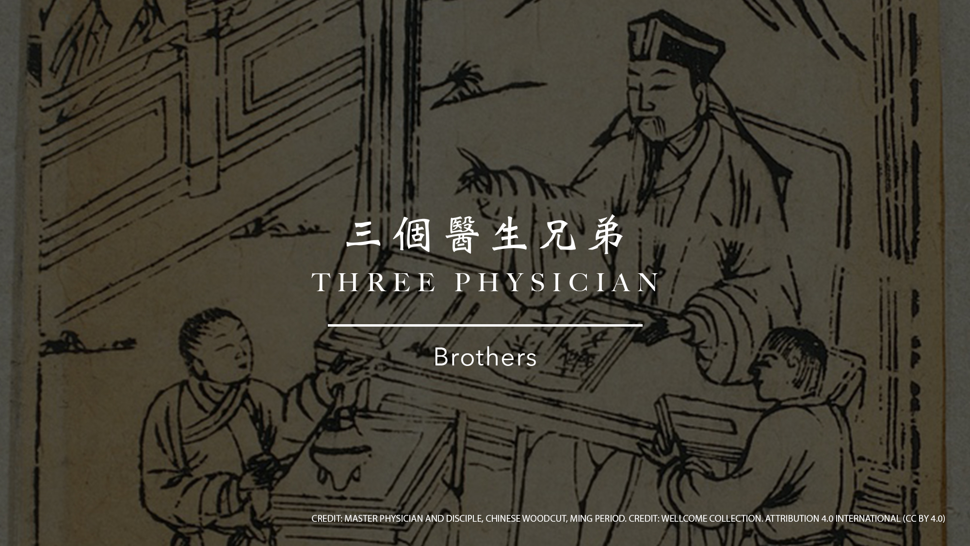 Three Physician Brothers: Bian Que
