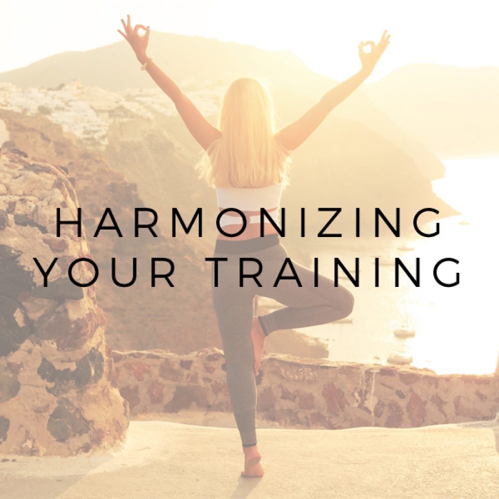 Harmonizing Your Training - AcupunctureFit Pack of 100