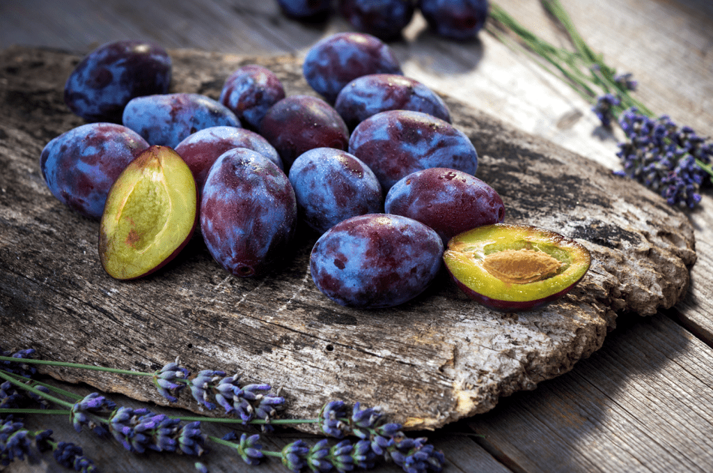 fresh plums Fresh Plums