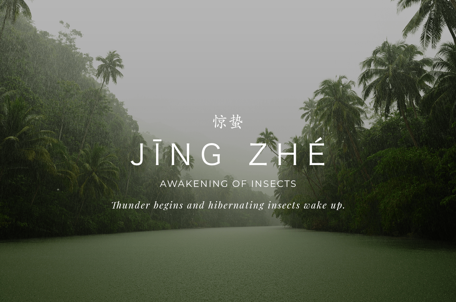 Jing Zhe