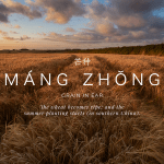 Mang Zhong - The Grain in Ear