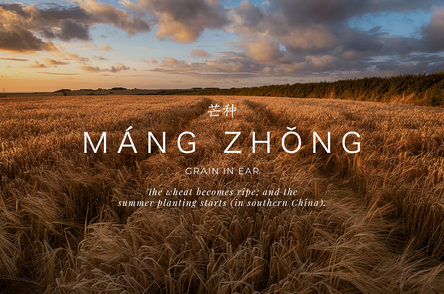 Mang Zhong - The Grain in Ear