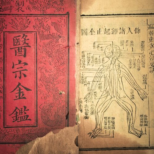 12 Body Type Diagnosis Level I - Point selection and Classical Herbal Treatment