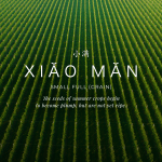 xiao-man Small Full Grain
